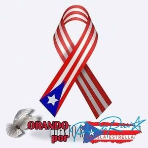 Meet your Posher, Ana malia